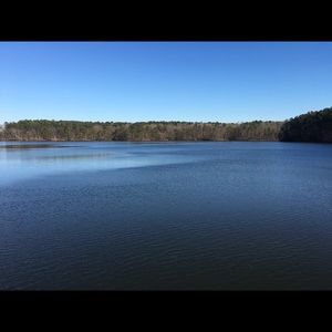 Meet your Posher, Kiley